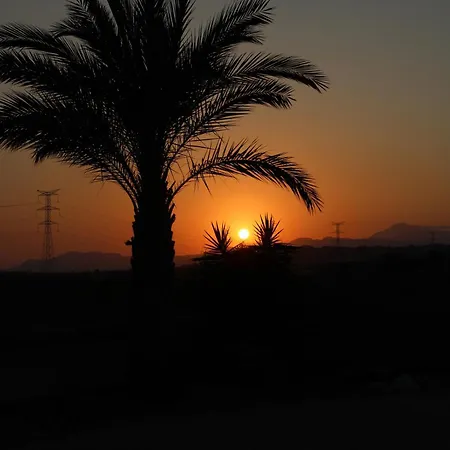 Aparthotel The Olive Mill (adults Only) La Murada