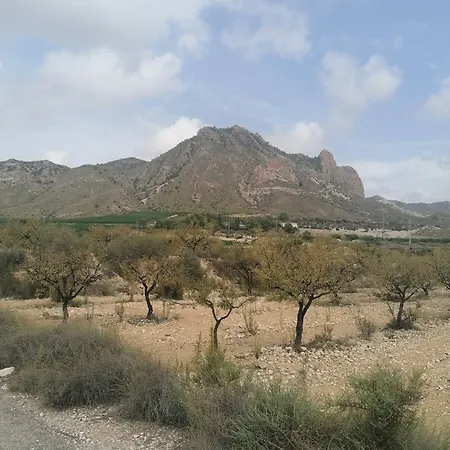 Апарт-отель The Olive Mill (adults Only) La Murada