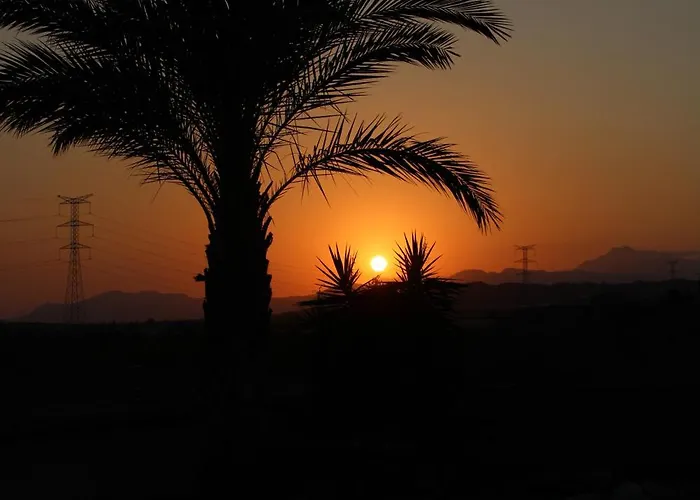 公寓式酒店 The Olive Mill (adults Only) La Murada