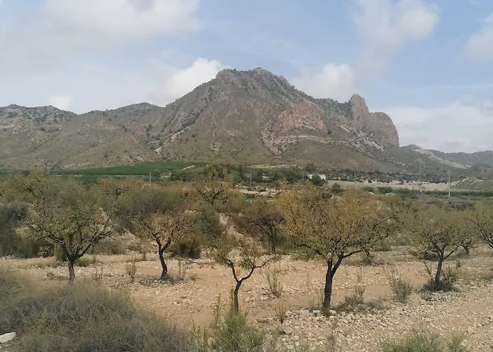 公寓式酒店 The Olive Mill (adults Only) La Murada